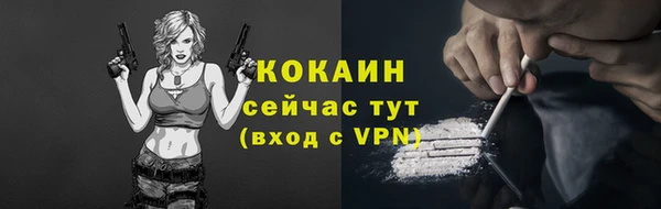 сатива Бородино
