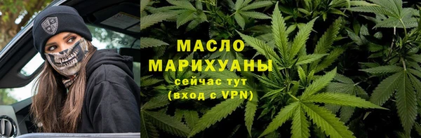 сатива Бородино