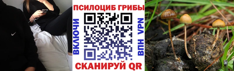 Псилоцибиновые грибы GOLDEN TEACHER  Наро-Фоминск 